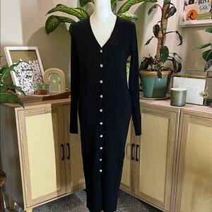 EXPRESS Black Button-Down Dress